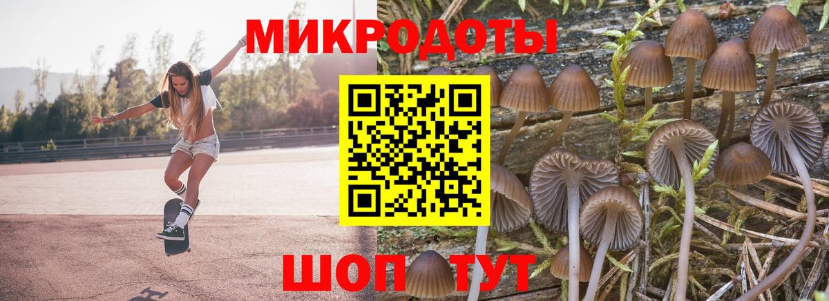 Псилоцибиновые грибы мухоморы  Вход с VPN  Кандалакша 
